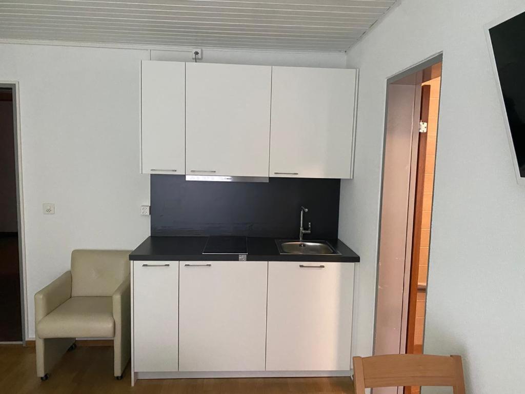 Studios With Kitchenette Birsfelden Екстер'єр фото