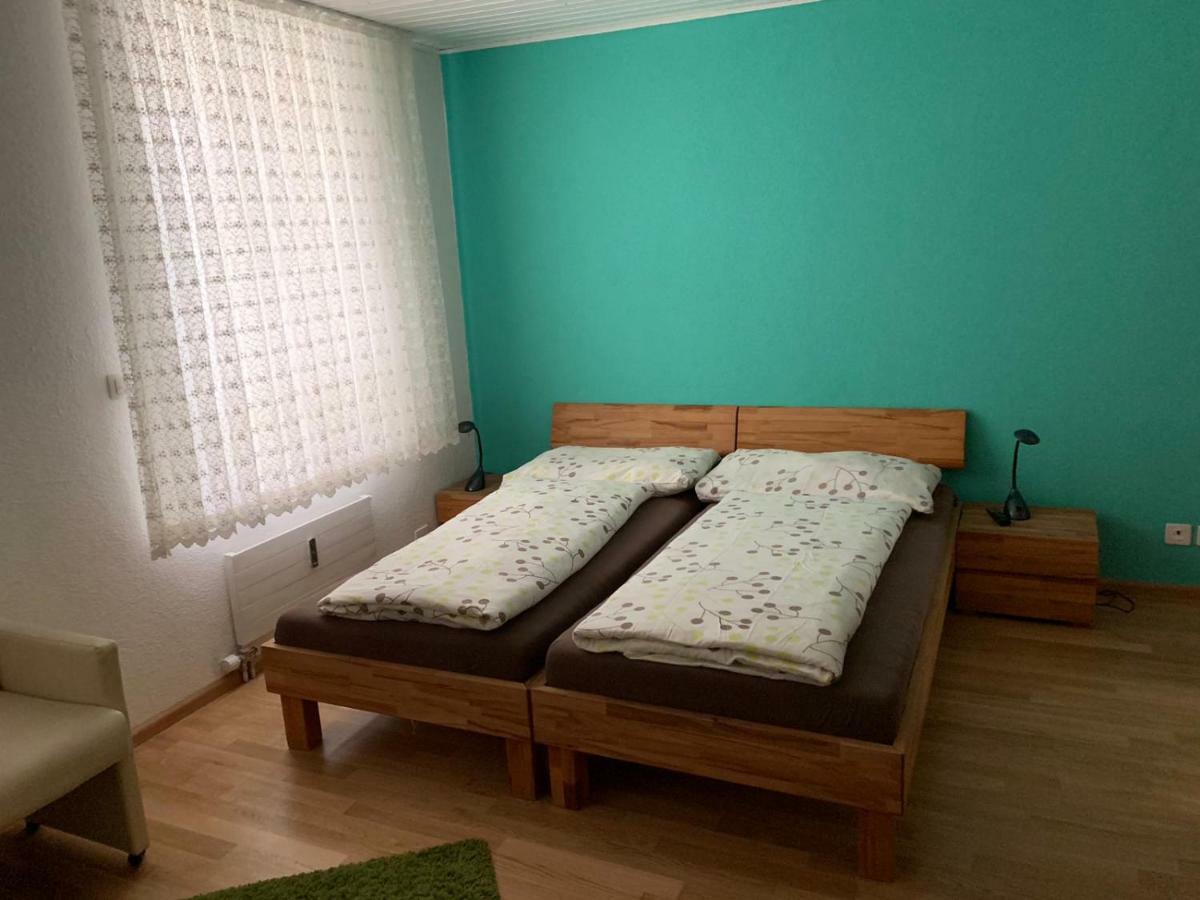 Studios With Kitchenette Birsfelden Екстер'єр фото